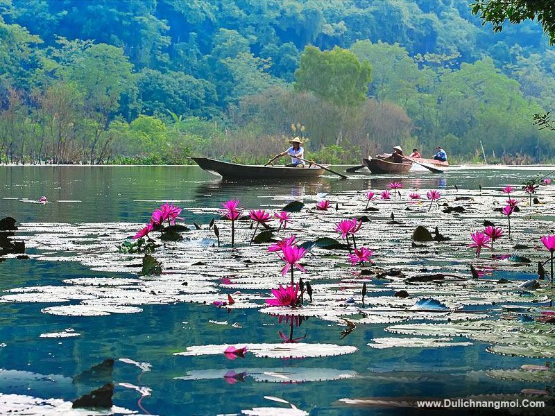 Những lối đi nhẹ nhàng giữa dòng Suối Yến