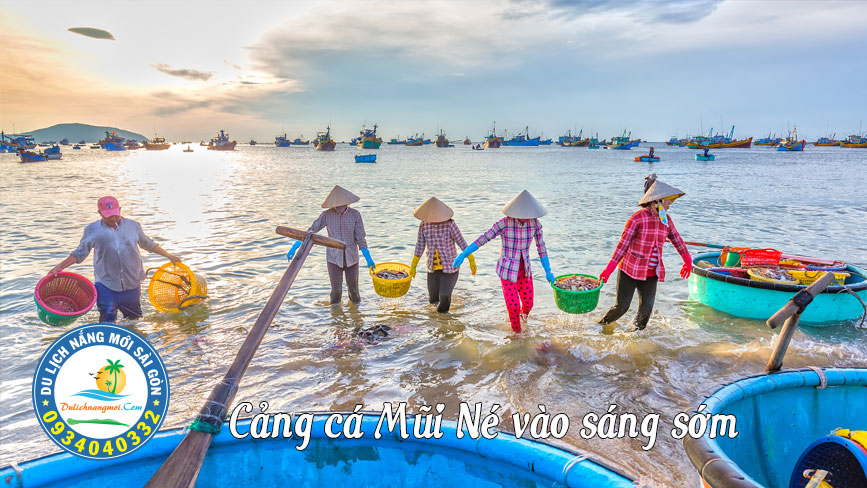 cảnh thu mua cá tại cảng Mũi Né vào sáng sớm