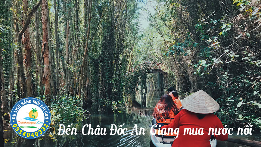 Cảnh đẹp rừng tràm mùa nước nổi