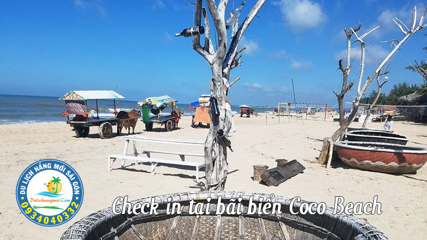 Cắm trại và check in tại Cocobeach Lagi