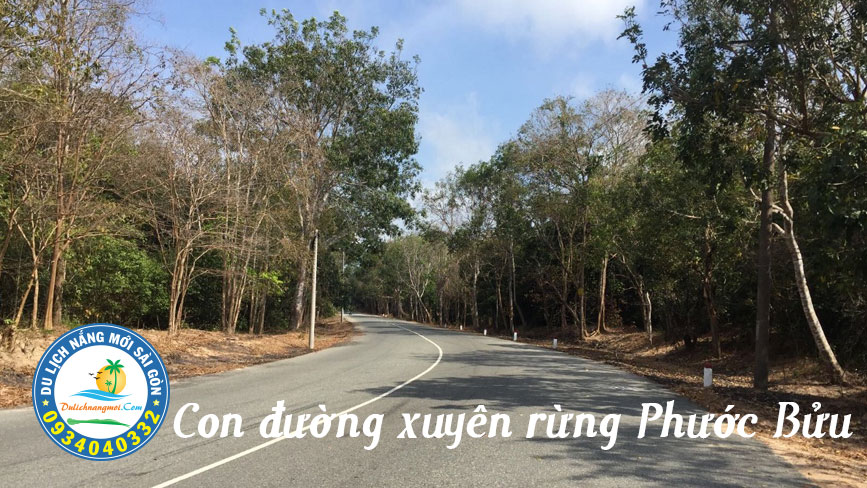 Con đường xuyên rừng Phước Bửu để đến với khu du lịch Bình Châu
