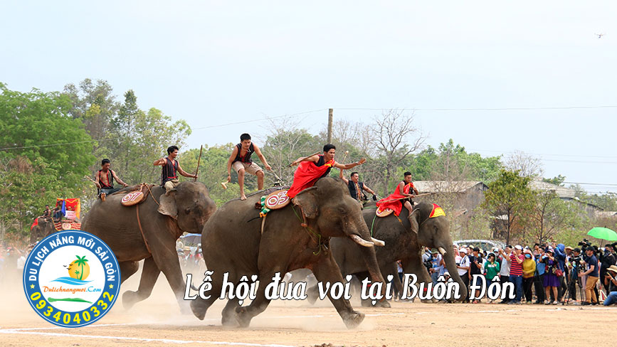 Về Buôn Đôn xem lễ hội đua voi