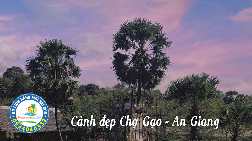 Cảnh đẹp Cầu Treo sống ảo ở An Giang