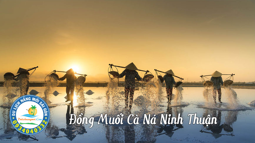 cảnh đẹp đồng muối ninh thuận phan rang