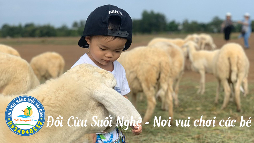 Niềm vui của con trẻ khi ghé vào Đồi Cừu Suối Nghệ