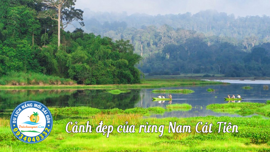 Cảnh đẹp hoang sơ rừng Nam Cát Tiên