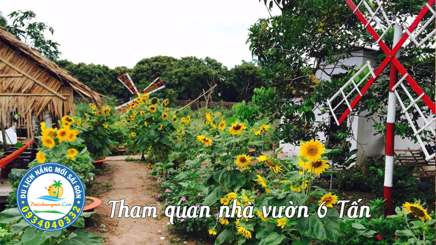 Về Vĩnh Long tham quan nhà vườn Sáu Tấn
