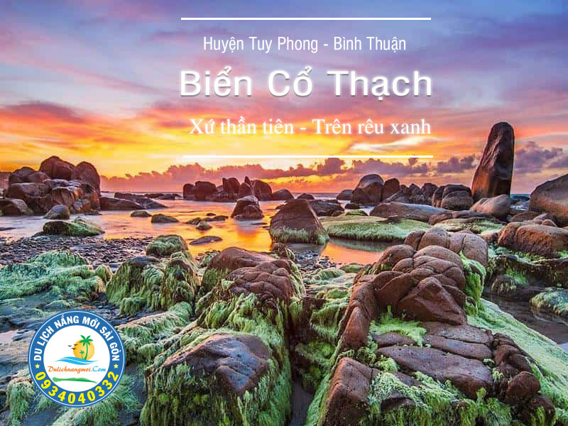 Rêu xanh trên đá biển Cổ Thạch