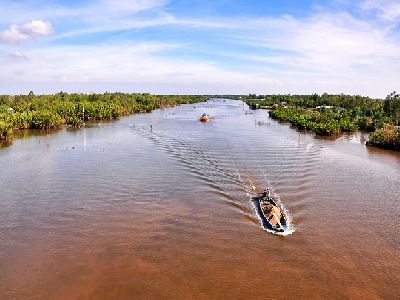 Bí ẩn Khu rừng gợi nhớ phim Đất phương Nam ở Cà Mau