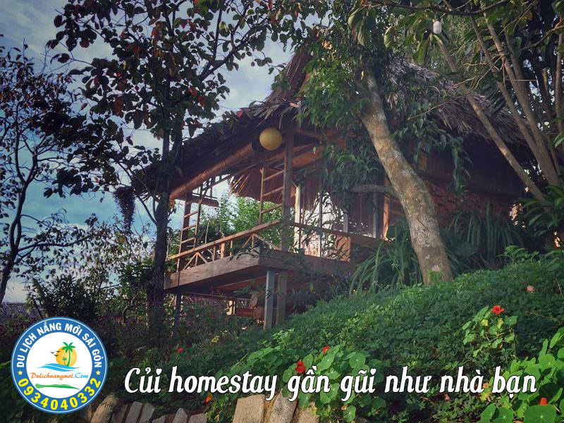 Không gian ảo diệu tại Củi home stay