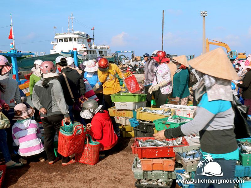 Chợ hải sản giá rẻ trên đảo Phú Quý