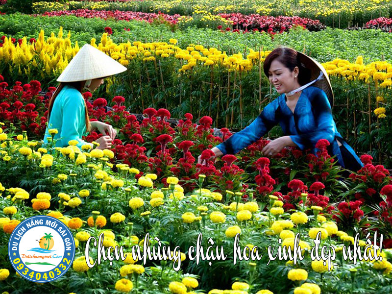 Nụ cười em như mùa xuân tỏa nắng
