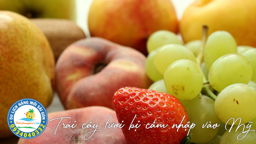 Các loại trái cây, rau củ tươi không được mang vào Mỹ