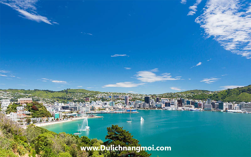 Hướng dấn nộp visa điện tử NewZeland