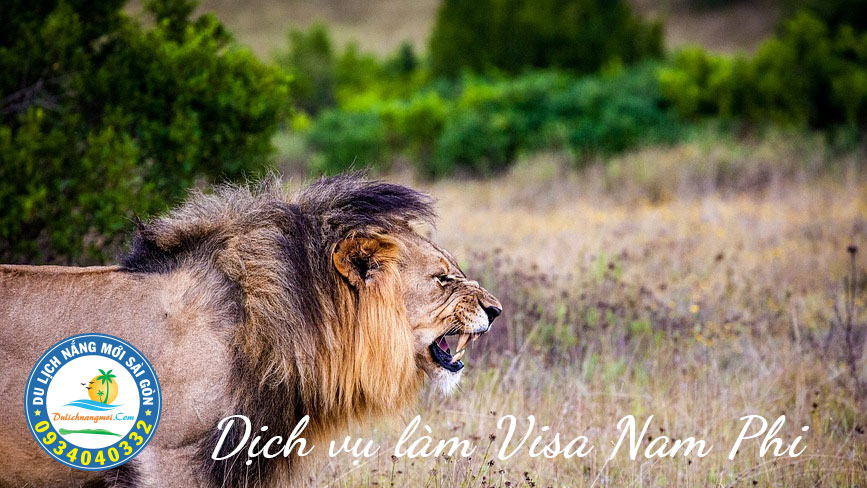 Tham quan vườn quốc gia tại Nam Phi